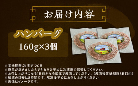 北海道 北十勝 短角牛 ハンバーグ 160g×3個《足寄町》【北十勝ファーム】[BEAI004]