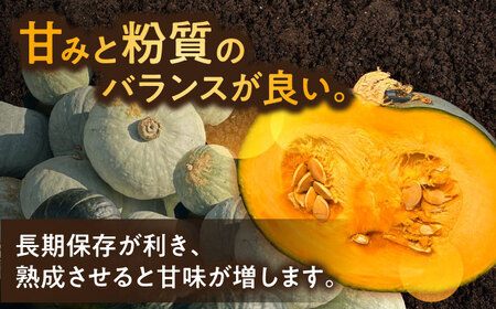 【先行予約】北海道 かぼちゃ とっておき 2個 【9月中旬以降発送】足寄町/足寄アグリバイオ株式会社 [BEAC010]