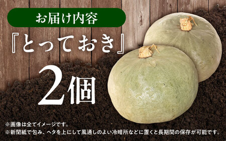 【先行予約】北海道 かぼちゃ とっておき 2個 【9月中旬以降発送】足寄町/足寄アグリバイオ株式会社 [BEAC010]