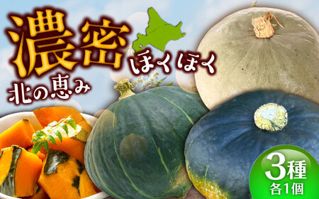 【先行予約】北海道 かぼちゃ ダークホース・とっておき・特濃こふき 3種類×1個 【9月中旬以降発送】足寄町/足寄アグリバイオ株式会社 [BEAC012]
