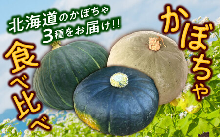 【先行予約】北海道 かぼちゃ ダークホース・とっておき・特濃こふき 3種類×1個 【9月中旬以降発送】足寄町/足寄アグリバイオ株式会社 [BEAC012]