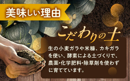 【先行予約】北海道 かぼちゃ ダークホース・とっておき・特濃こふき 3種類×1個 【9月中旬以降発送】足寄町/足寄アグリバイオ株式会社 [BEAC012]