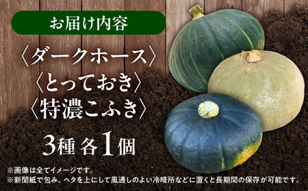 【先行予約】北海道 かぼちゃ ダークホース・とっておき・特濃こふき 3種類×1個 【9月中旬以降発送】足寄町/足寄アグリバイオ株式会社 [BEAC012]