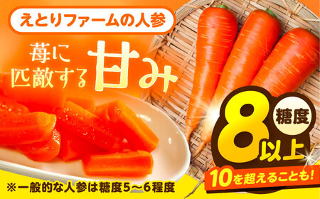 北海道 訳ありにんじん 1kg（土付き）【足寄町/餌取農場】にんじん [BEBA003]