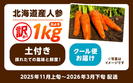 北海道 訳ありにんじん 1kg（土付き）【足寄町/餌取農場】にんじん [BEBA003]