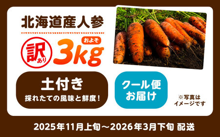 北海道 訳ありにんじん 3kg（土付き）【足寄町/餌取農場】にんじん[BEBA004]