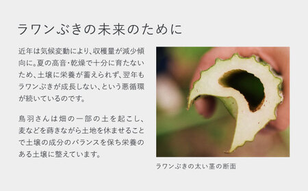 【SHIRO】ラワンぶきスキンケアキット 《足寄町》 洗顔 整肌 保湿 センシティブ [BEAX009]