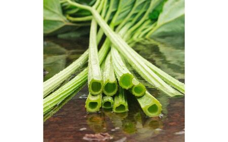 【SHIRO】ラワンぶきフェイスマスク（14枚入り）　《足寄町》 整肌 センシティブ [BEAX008]