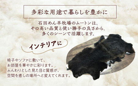 希少 ミルクラム ムートン（天然ブラック）約65cm《足寄町》【石田めん