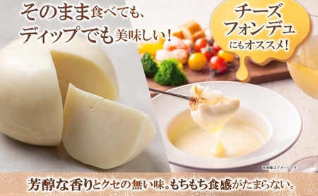 北海道 ゴーダチーズ 300g×2個 チーズ 十勝チーズ セミハードチーズ