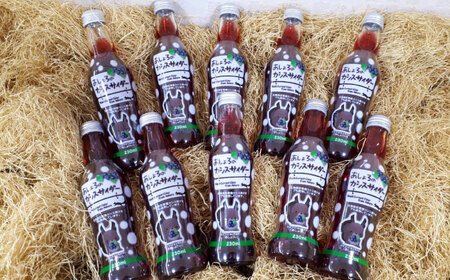 あしょろカシスサイダー 10本《足寄町》【NPO法人あしょろ観光協会】 炭酸 [BEAE017]