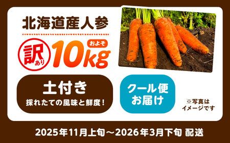 【訳あり】 北海道 にんじん 10kg （土付き）《足寄町》【えとりファーム】[BEBA006]