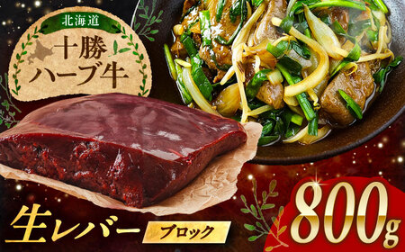 北海道 十勝 ハーブ牛 牛肉 生レバー ブロック 800g（200g×4） 《足寄町》【株式会社ノベルズ食品】[BEAQ020]