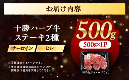 北海道 十勝ハーブ牛 サーロイン・ヒレ ステーキセット《足寄町》ステーキ [BEAQ055]