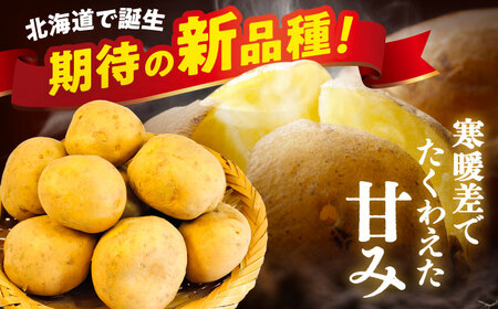 北海道産じゃがいも ゆめいころ 10kg 《足寄町》じゃがいも [BEBO001]