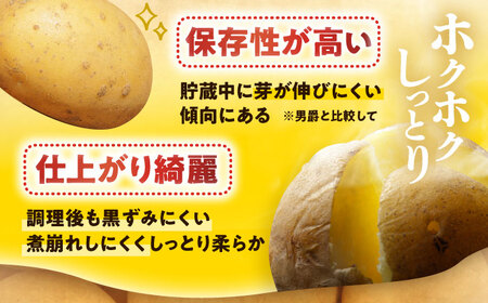 北海道産じゃがいも ゆめいころ 10kg 《足寄町》じゃがいも [BEBO001]