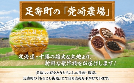 北海道 令和5年産 黒大豆 1kg×2袋 計2kg 黒豆 大豆 豆 まめ マメ 国産 十勝 和食 煮豆 ケーキ パウンドケーキ パン おせち おやつ 常温 お取り寄せ 党崎農場 送料無料