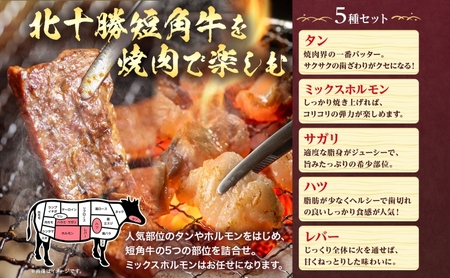 北海道 北十勝 短角牛 焼肉 5種 タン ミックスホルモン サガリ ハツ レバー ホルモン 焼き肉 和牛 牛肉 肉 国産 ご飯 贅沢 冷凍 ギフト 北十勝ファーム 送料無料