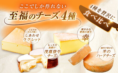 ＼TVで話題／【全4回定期便/3ヵ月毎】北海道 チーズ 4種《足寄町》【しあわせチーズ工房】 [BEAK022]