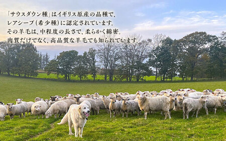 【2026年12月以降順次発送】羊毛敷き布団（シングル）敷き布団 [BEAD009]