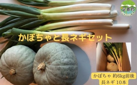 かぼちゃと長ネギセット (かぼちゃ約6kg・長ネギ10本)