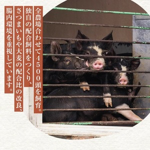 鹿児島県産黒豚しゃぶしゃぶセット（バラ・肩ロース・ロース）1kg 1150-2
