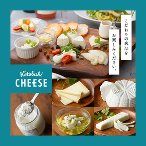 Kotobuki cheese フレッシュチーズ６種＆ギリシャヨーグルトセット 1128