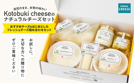 901-1 ナチュラルチーズ セット KN087-001 チーズ モッツァレラチーズ カノヤチーズ リコッタチーズ モッツァレラハーブオイル漬け ストリングチーズ ギリシャヨーグルト ヨーグルト 乳製品 オリジナルチーズ オリジナル 美味しい おいしい 乳 乳成分 国産 kotobuki cheese ふるさと納税 鹿児島 鹿屋市 おすすめ ランキング プレゼント ギフト