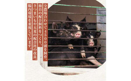 【定期便6ヵ月】鹿児島県産黒豚　しゃぶしゃぶセット（ロース・バラ・モモ）1.3kg 1912-1