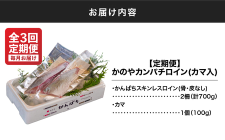 2154 【 全3回定期便 / 毎月お届け 】かのやカンパチ スキンレスロイン（ カマ入 ）計700g KN001-T02 魚 カンパチ