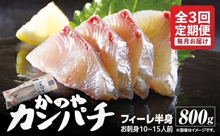 2141 【 全3回定期便 / 毎月お届け 】かのやカンパチ フィーレ半身（ お刺身10～15人前 ）800g KN001-T01 魚 カンパチ