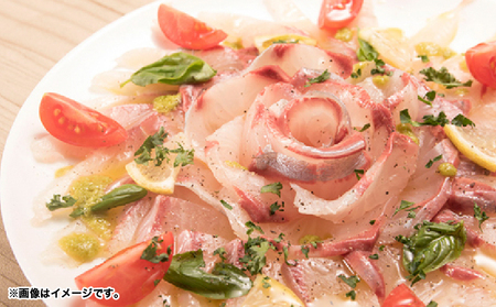 2141 【 全3回定期便 / 毎月お届け 】かのやカンパチ フィーレ半身（ お刺身10～15人前 ）800g KN001-T01 魚 カンパチ