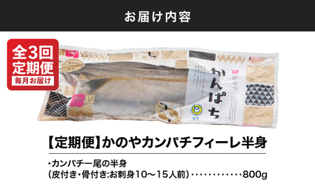 2141 【 全3回定期便 / 毎月お届け 】かのやカンパチ フィーレ半身（ お刺身10～15人前 ）800g KN001-T01 魚 カンパチ