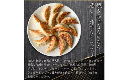 鹿児島県産黒豚生餃子36個(12個×3袋) 1609