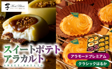 989-1 スイートポテト ・ アラカルト KN035-007 菓子