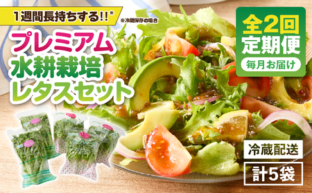 1625-2 【 全2回 定期便 】洗わずに食べられる プレミアム 水耕栽培 レタス セット( 計5袋 ) KN064-T01 野菜 サラダ サンドイッチ リーフレタス フリルアイス 手軽 旭信興産 ふるさと納税 鹿児島 鹿屋市 おすすめ ランキング プレゼント ギフト