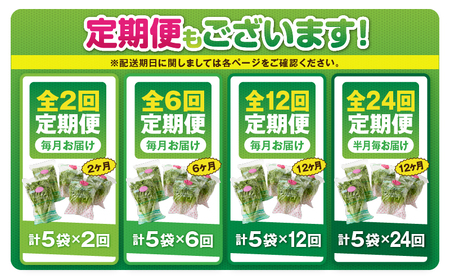 1625-2 【 全2回 定期便 】洗わずに食べられる プレミアム 水耕栽培 レタス セット( 計5袋 ) KN064-T01 野菜 サラダ サンドイッチ リーフレタス フリルアイス 手軽 旭信興産 ふるさと納税 鹿児島 鹿屋市 おすすめ ランキング プレゼント ギフト