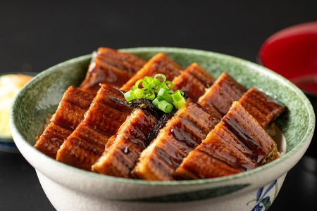 1881-3 【 全3回 定期便 】 鹿児島 産 うなぎ 合計340g ( 170g × 2尾 ) KN021-T02 魚 鰻