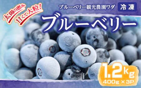 【年内配送12月15日入金まで】冷凍ブルーベリー 1.2kg［400g×3P］ 141-3