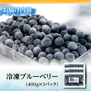 【年内配送12月15日入金まで】冷凍ブルーベリー 1.2kg［400g×3P］ 141-3