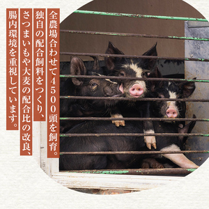 鹿児島黒豚　ミンチ（ひき肉） 1.5kg（500ｇ×3パック） 2299