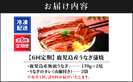 2323-1 【 全6回 定期便 】 鹿児島 産 うなぎ 合計340g （ 170g × 2尾 ） KN021-T19 魚 鰻
