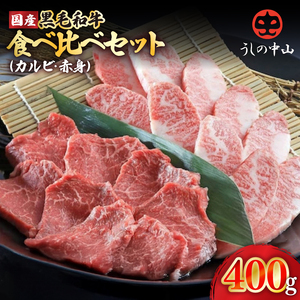 2240 黒毛和牛 食べ比べ カルビ 赤身 セット【うしの中山】 KN050-009 肉 牛肉