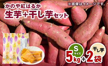 1671 かのや紅はるか 生芋 Sサイズ 5kg ＋ 干し芋 2袋 セット KN011-004 いも 芋 甘い ねっとり しっとり干し芋 干芋 紅はるか べにはるか 南橋商事 ふるさと納税 鹿児島 鹿屋市 おすすめ ランキング プレゼント ギフト