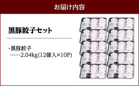 1446 黒豚餃子12個入×10パック KN038-016 国産 黒豚 豚肉 ギョーザ 和田養豚 ふるさと納税 鹿児島 鹿屋市 おすすめ ランキング プレゼント ギフト