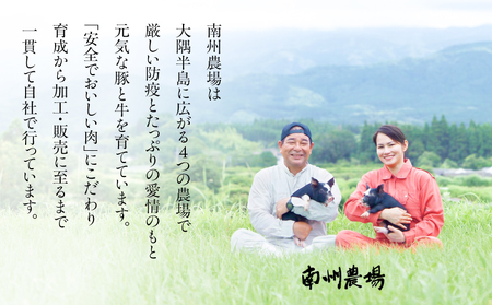 1396 鹿児島黒豚・黒牛生ハム食べ比べセット（NN-3725） KN005-004 南州農場 ふるさと納税 鹿児島 鹿屋市 おすすめ ランキング プレゼント ギフト