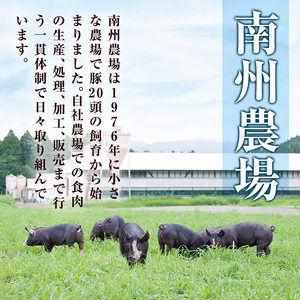 南州農場　鹿児島黒豚ロース味噌漬け詰合せ 計600g 1395