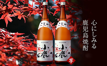 【年内配送12月1日入金まで】小鹿酒造『小鹿』瓶（芋）3.6L（25度）［1.8L×２本］ 1349