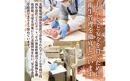 【年内配送12月15日入金まで】鹿児島黒豚焼豚詰合せ 計600g（化学調味料不使用）  1394