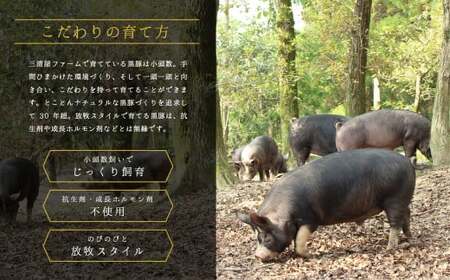 【訳あり】「かごしま森の黒豚」黒豚しゃぶしゃぶ1㎏【小分け】 1564